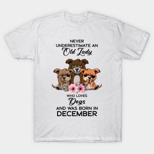 Never Underestimate An Old Woman Who Loves Cats And Was Born In December T-Shirt